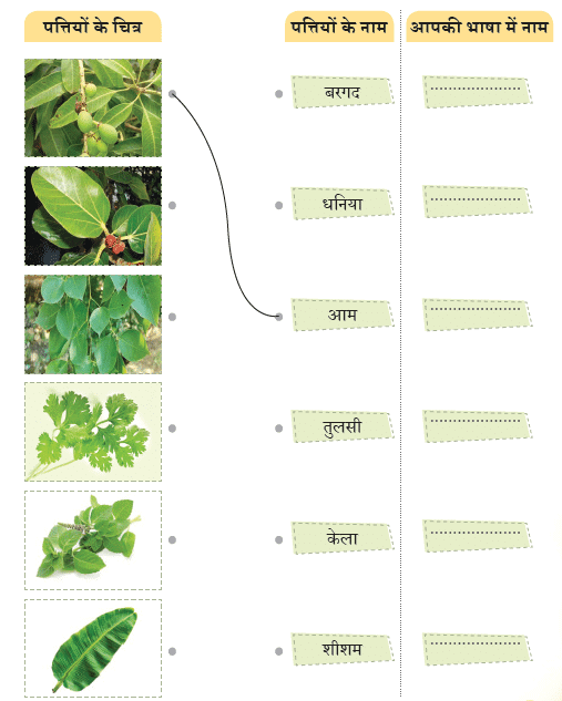 NCERT Solutions for Class 4 Hindi Chapter 3 - नीम