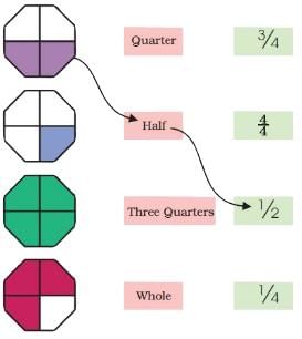 NCERT Solutions for Class 4 Maths - Chapter 9 - Halves And Quarters
