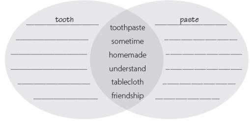 Worksheet 5 - Vocabulary | Worksheets with solutions for Class 3