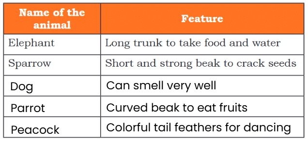 NCERT Solutions for Class 4 EVS Chapter 3 - Nature Trail