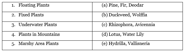 Adaptations in Plants - 2 Class 6 Worksheet Science