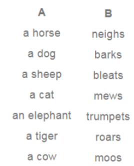 NCERT Solutions for Class 3 English Unit 7 - Puppy and I