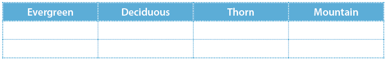Forest and Wildlife - 1 Class 4 Worksheet SST