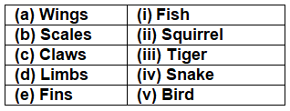 Class 4 Science - Adaptation in Animals - CBSE Worksheets - 1