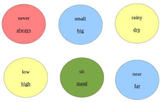 NCERT Solutions for Class 3 English Unit 5 - The Balloon Man