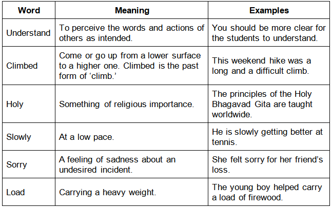 He is My Brother Summary Class 3 English Unit 9