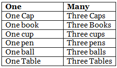 Singular & Plural | English Grammar for Junior Classes - Class 1