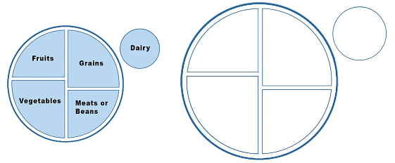 Worksheet: The Food we Eat - 2 | Worksheets with solutions for Class 1