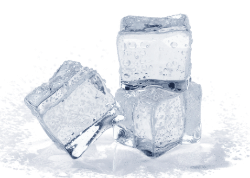 Water O` Water Chapter Notes | EVS for Class 3