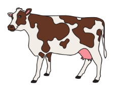 Practice Questions: Animals - Their Babies, Sounds and Groups | English Olympiad Class 1