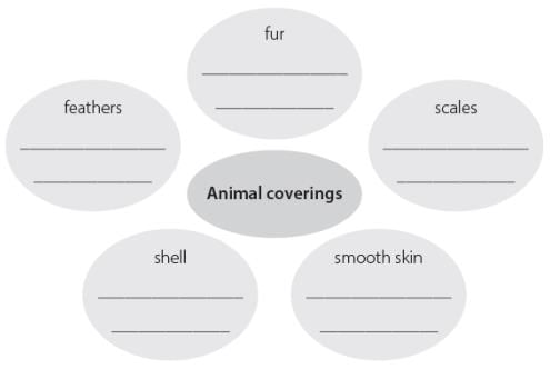 Worksheet 7 - Vocabulary | Worksheets with solutions for Class 3