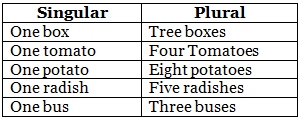 Singular & Plural | English Grammar for Junior Classes - Class 1