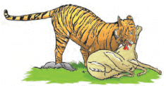 Animals in the Wild Class 2 Notes Science