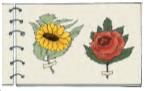 NCERT Solutions for Class 3 English Unit 1 - The Magic Garden