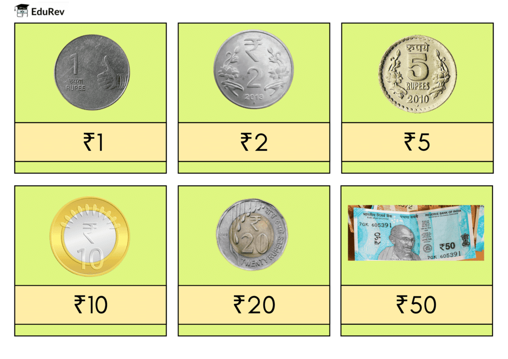Infographic: Money | Mathematics for Class 1