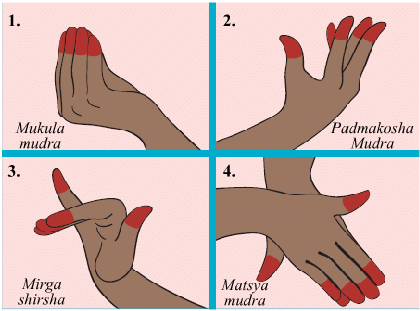 Saying without Speaking NCERT Solutions | EVS for Class 3