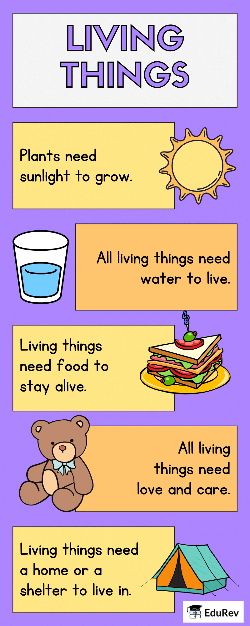 Infographics -2: Living and Non-Living Things | Science for Class 3