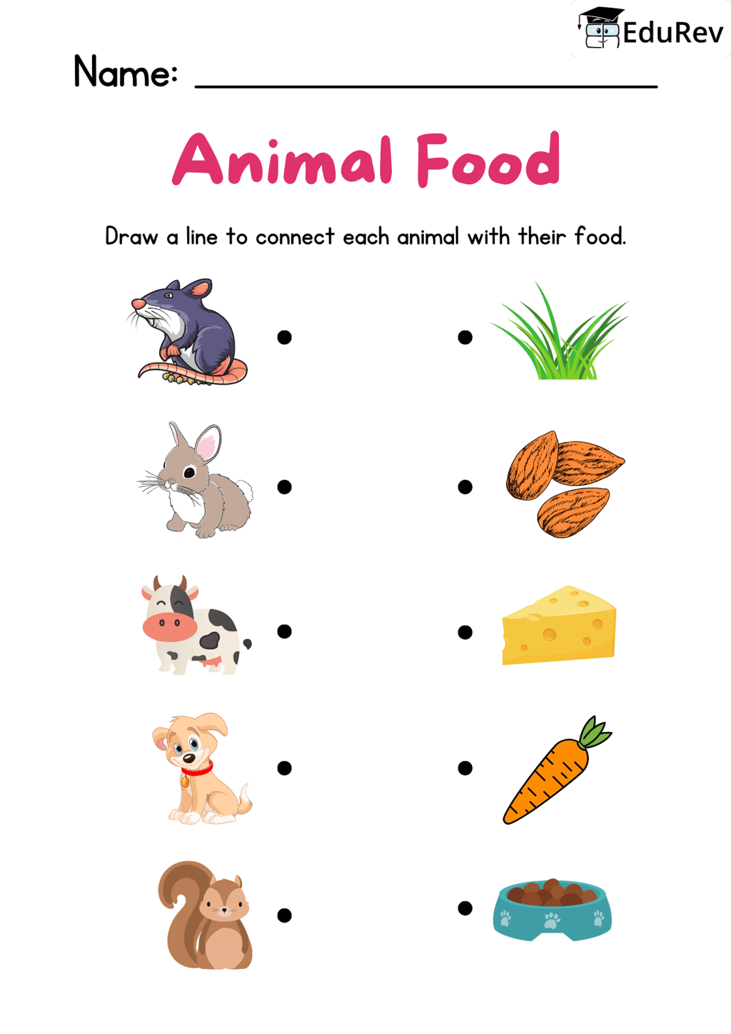 Visual Worksheets - Feed the Animals | Science for Class 3