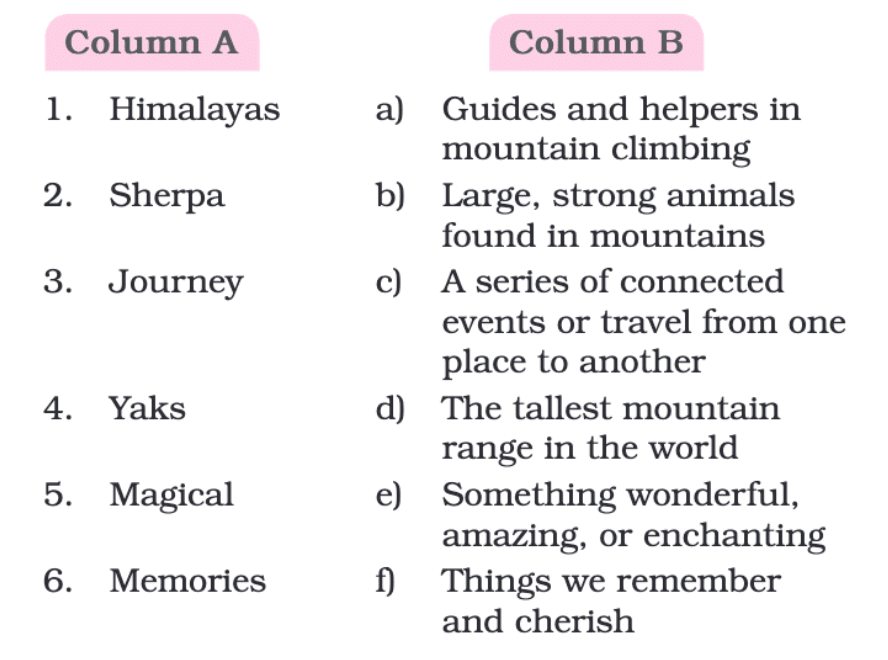 NCERT Solutions for Class 4 English Chapter 11 - A Journey to the Magical Mountains