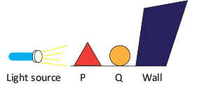 Science Olympiad Model Test Papers - 2 | Science Olympiad for Class 2