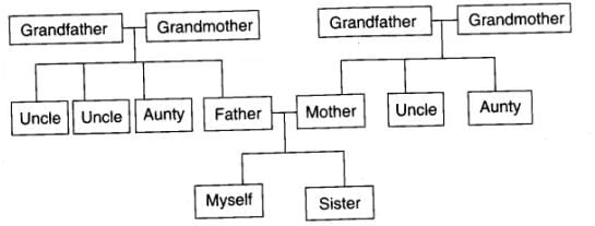 NCERT Solutions for Class 4 EVS Chapter 9 - Changing Families