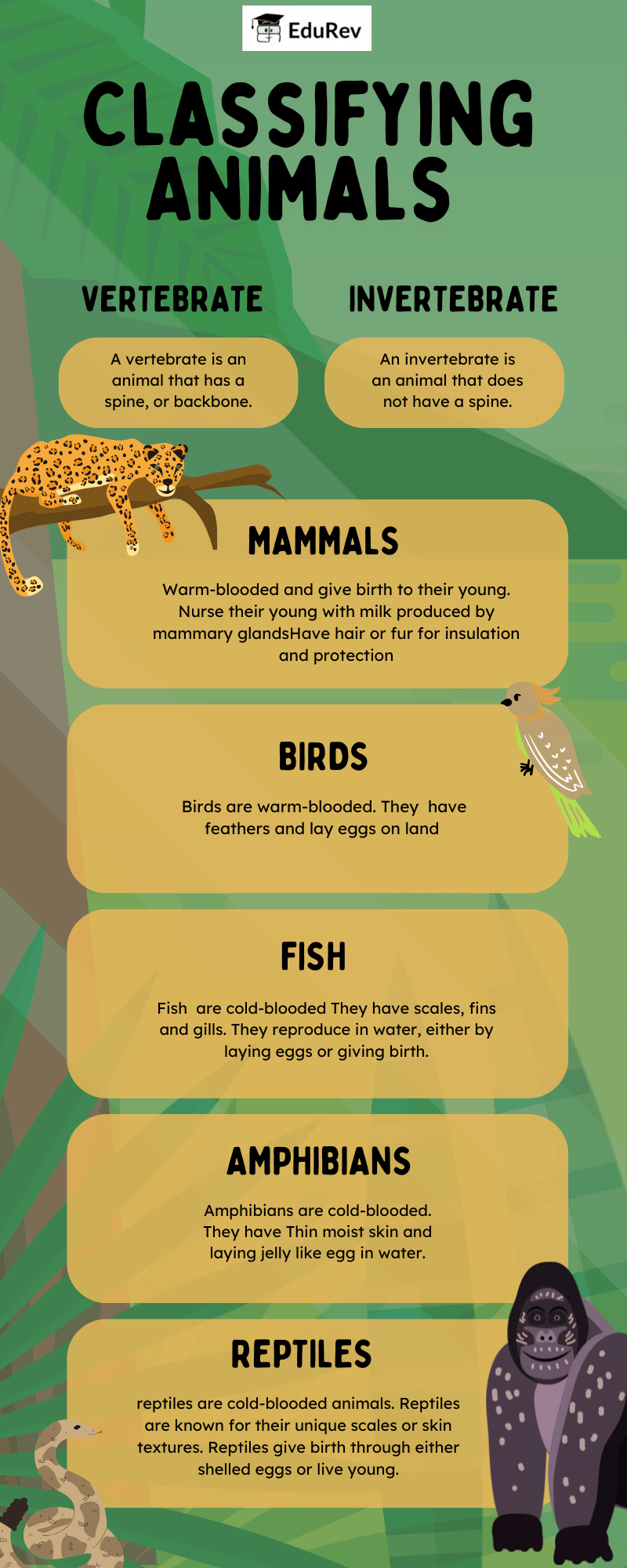 Infographics: Animal: Feeding Habits | Science for Class 3