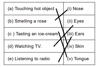 Our Body - CBSE Worksheets- 1 Solutions