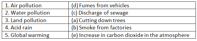Our Environment - 2 Class 6 Worksheet Science