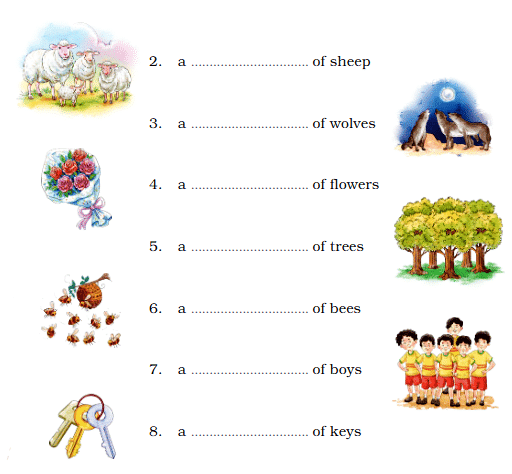NCERT Solutions for Class 4 English Chapter 1 - Together We Can