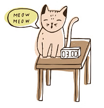 Notes: Prepositions | English Olympiad Class 1