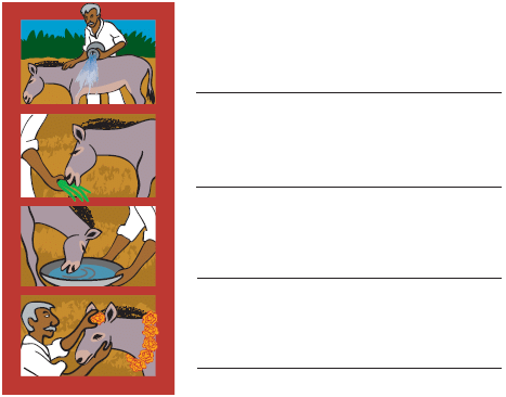 Our Friends – Animals NCERT Solutions | EVS for Class 3