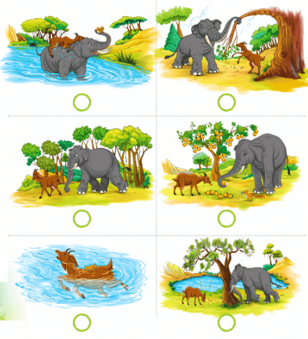 पहले क्या हुआ?