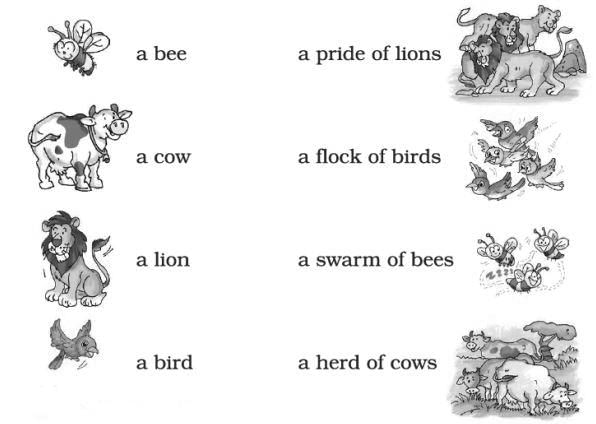 NCERT Solutions for Class 2 English - I Want