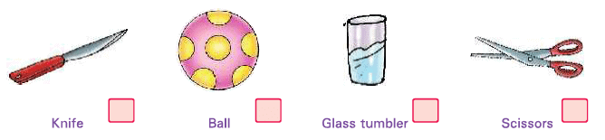 Being Safe Class 1 Notes Science