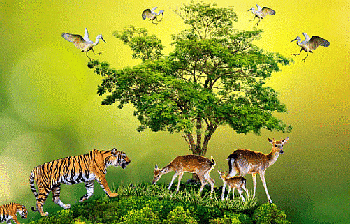Our Environment - 1 Class 3 Worksheet Science