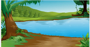 NCERT Solutions for Class 1 English Marigold Unit 2 - The Bubble, the Straw, and the Shoe