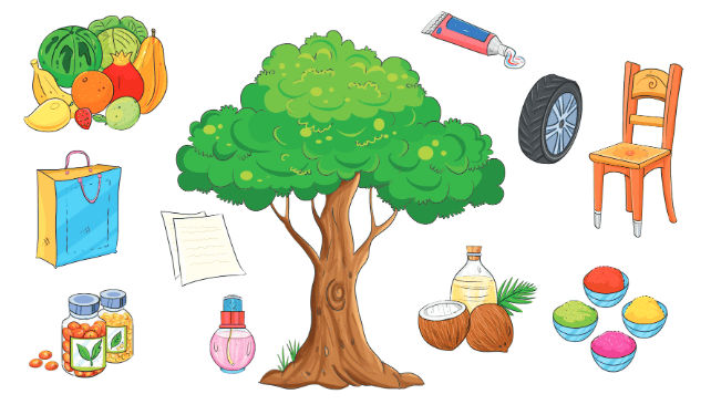पेड़ो की अम्मा थिमक्का NCERT Solutions | Hindi for Class 3 (वीणा)
