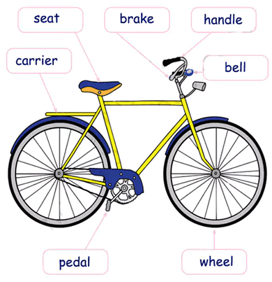 My Bicycle NCERT Solutions | English for Class 2 (Mridang)