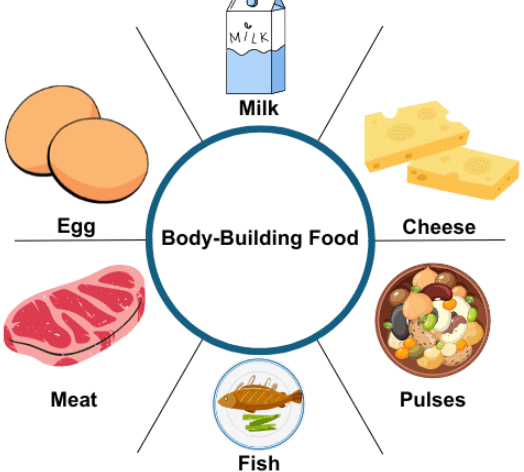 NCERT Solutions for Class 4 EVS Chapter 5 - Food for Health