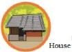 Worksheet Solutions: Web of Life - 1 | EVS for Class 3