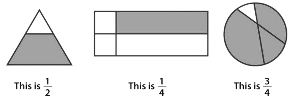 Halves and Quarters Chapter Notes | Mathematics for Class 4: NCERT