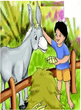 Worksheet Solutions: I Had a Little Pony - Class 4