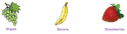 Food from Plants Class 1 Notes Science