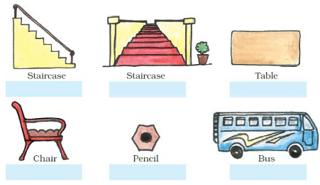 NCERT Solutions for Class 3 Maths - Where To Look From