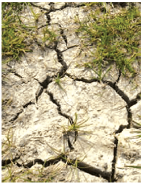 Soil Erosion