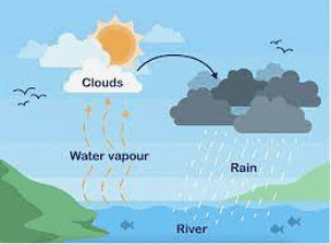 Weather, Water and Air - 1 Class 4 Worksheet Science