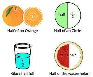 Halves and Quarters Chapter Notes | Mathematics for Class 4: NCERT
