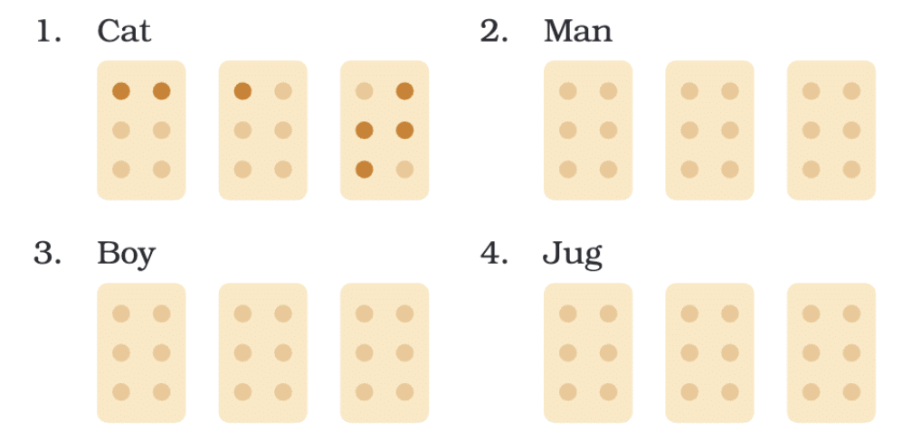 NCERT Solutions for Class 4 English Chapter 6 - Braille