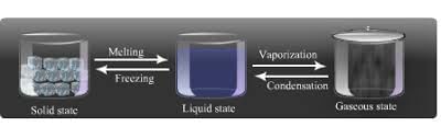 Solids, Liquids and Gases - 2 Class 4 Worksheet Science