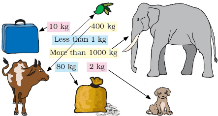 NCERT Solutions for Class 3 Maths Chapter 8 - Who Is Heavier